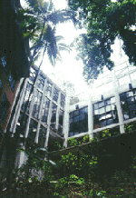 inside S.P.C.C.